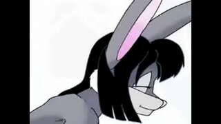 פרווה פוקס ראביט