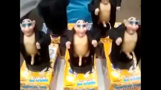 Сармагчин penos