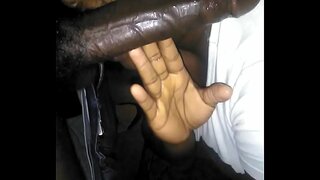 Опівдні підніміть голову з дивана