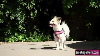 ���້ຢືນລົກເຫັນຫມາຂອງນາງກັບບ້ານຂອງນາງຊັບສິນ.ເພື່ອນບ້ານຂອງເຈົ້າຕ້ອງເປັນລາງວັນ,ພວກເຂົາເຈົ້າເອົານຸ່ງຂອງເຂົາເຈົ້າແລະຫຼັງຈາກນັ້ນນາງ throats ບ້ານ bigcock.ໃນການກັບຄືນບ້ານຂອງ fucks ຂອງນາງກັນແລະກົ້ນເລິກແລະຍາກຈົນກ່ວາເຂົາ cums ສຸດຂອງນາງ.